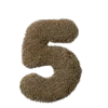 5️⃣