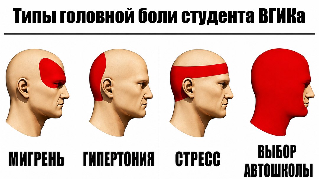 Автошкола для студентов ВГИКа