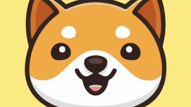 Baby Doge News