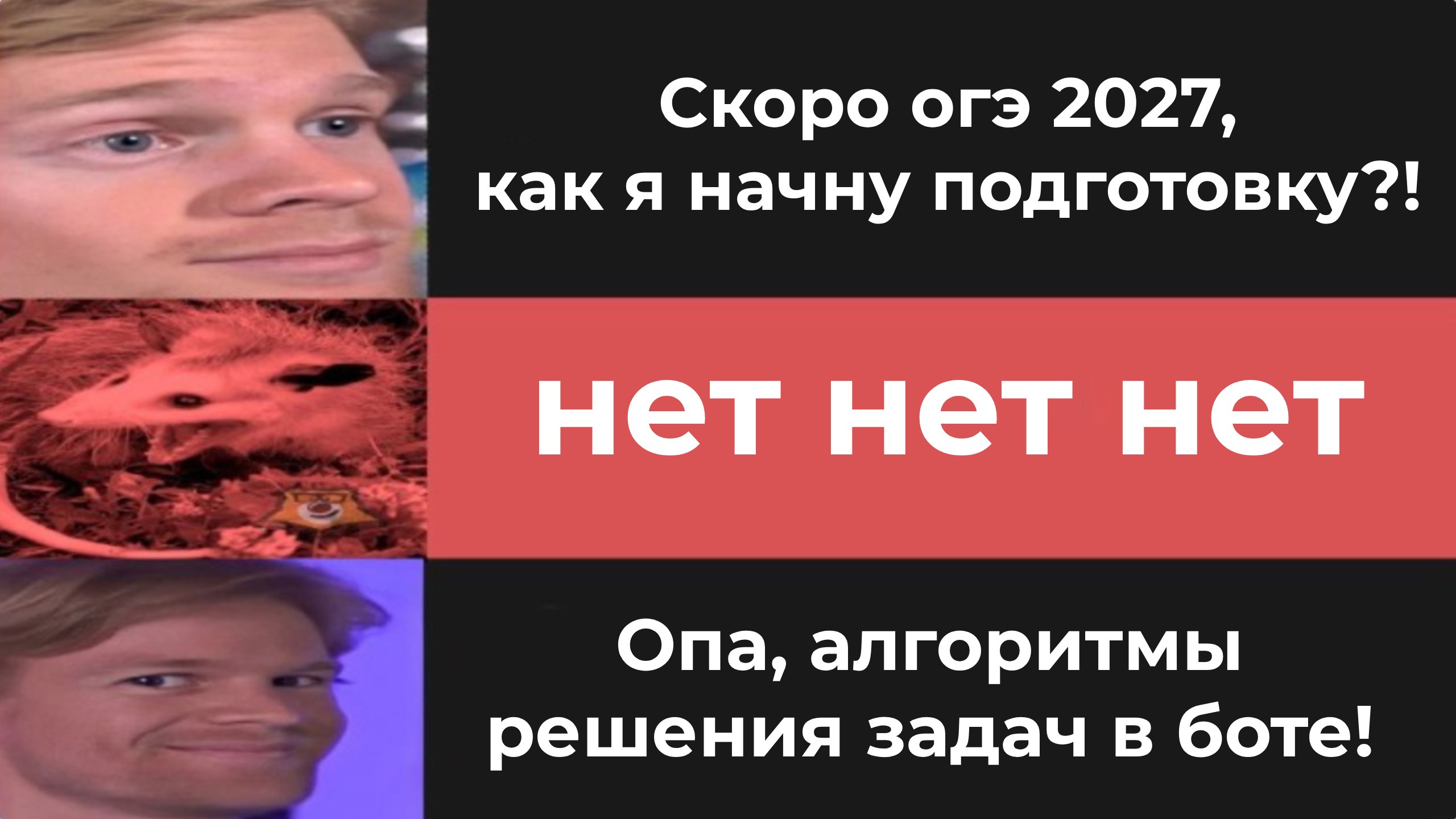 Умскул | Подготовка к ОГЭ и ЕГЭ