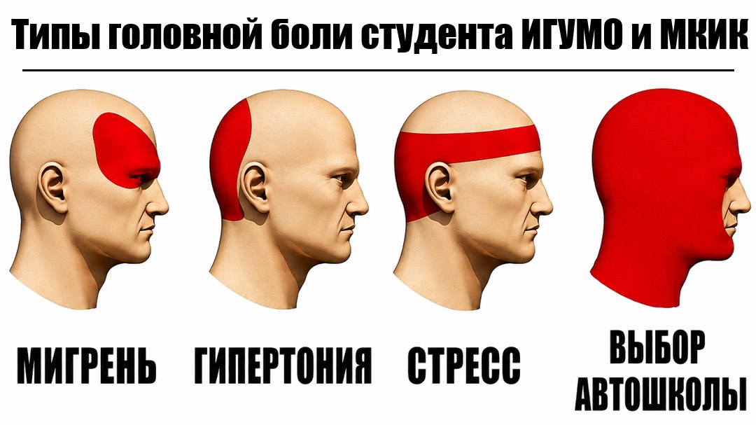 Автошкола для студентов ИГУМО