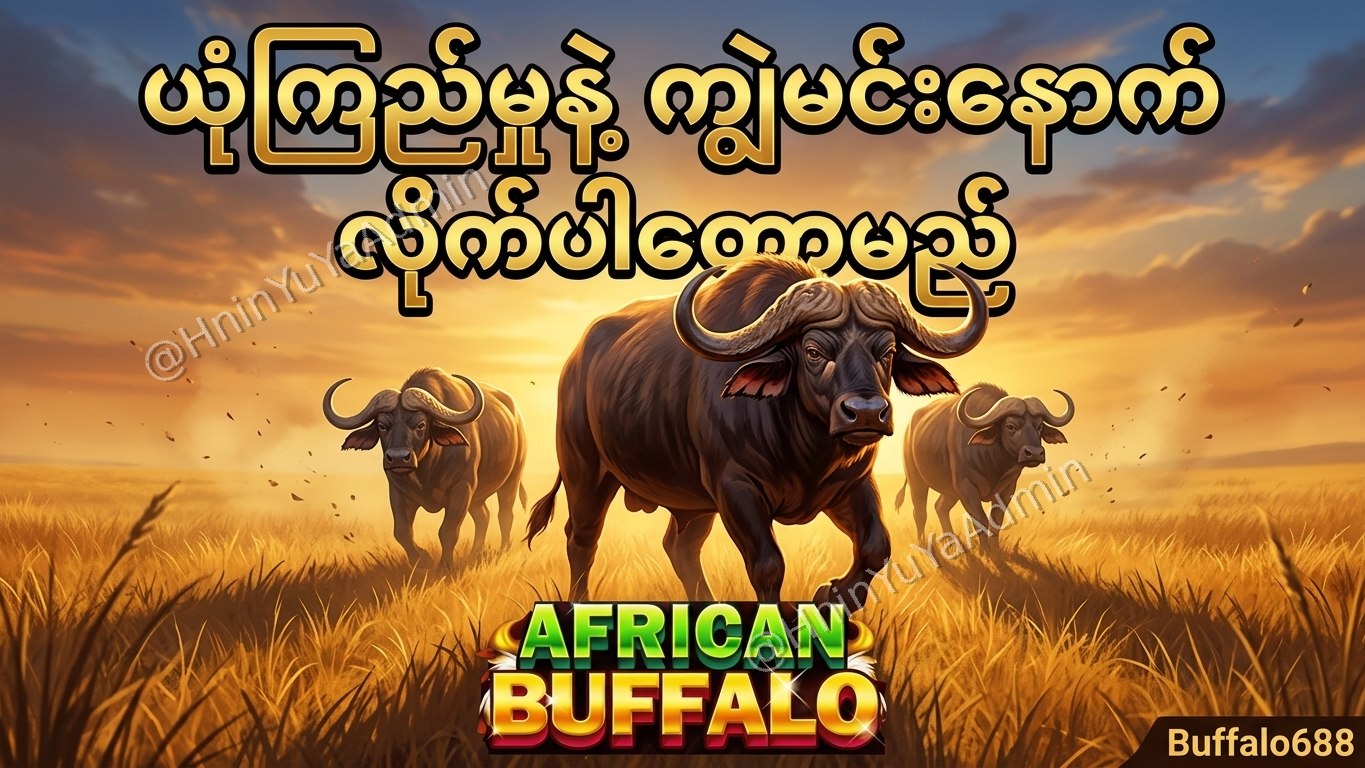 ကျွဲဂိမ်းအစစ် Buffalo688 ၊ကျွဲဘုရင် ၊ရှမ်းကိုးမီး၊ဘူကြီး