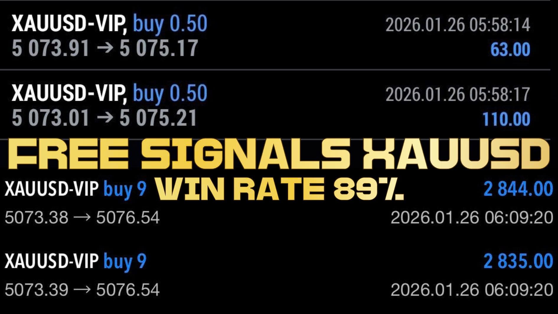 Gold Signal Floor