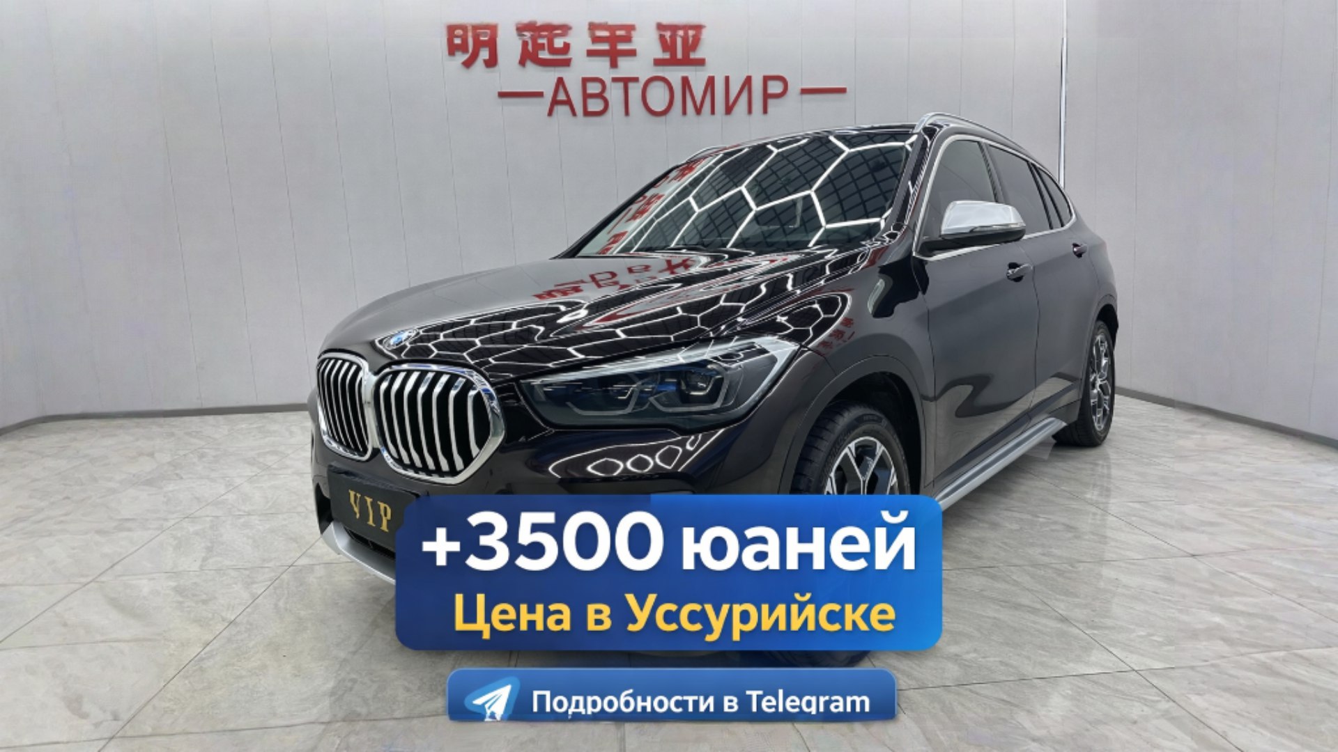 TrueCarDealer