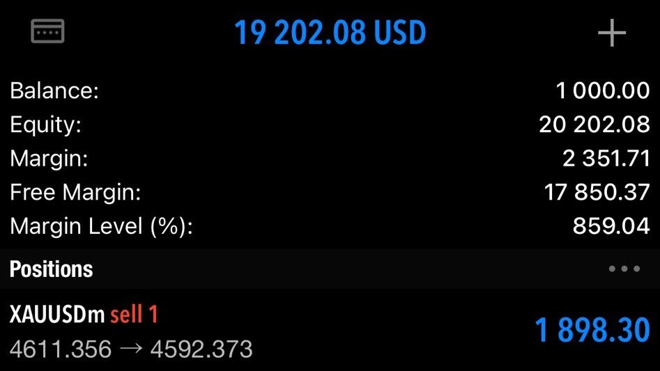 King Of Forex