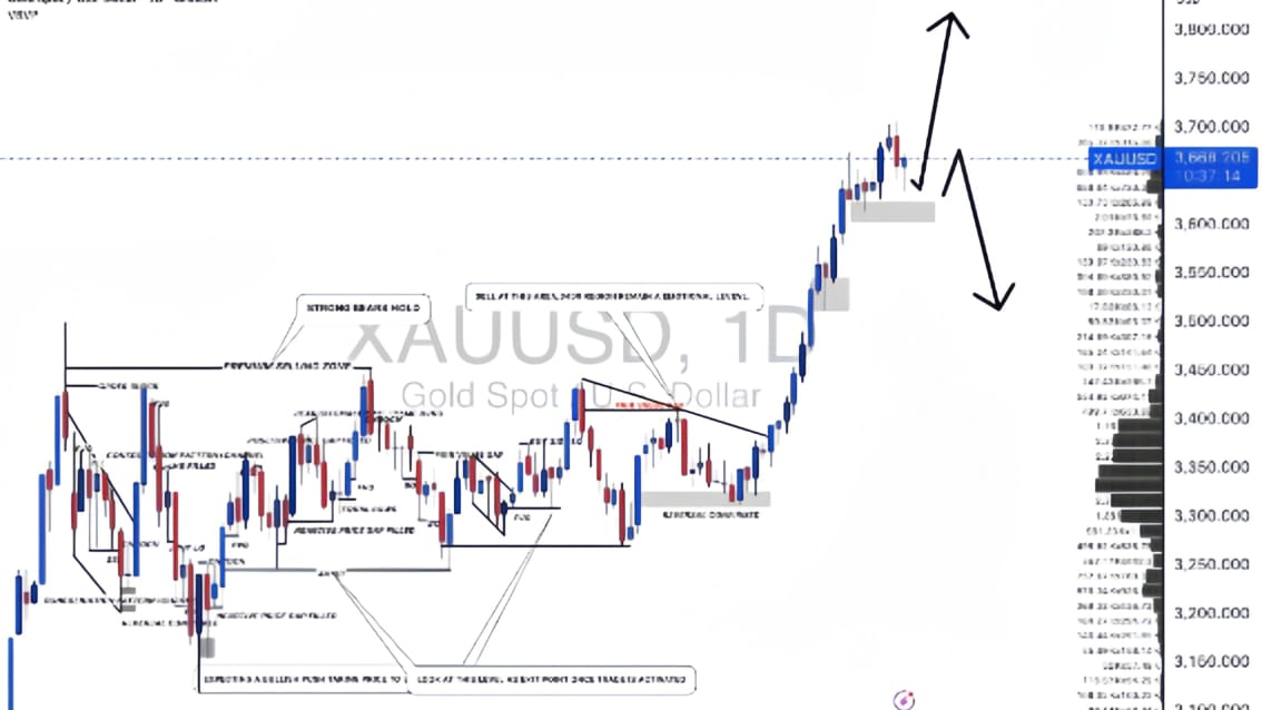 VIP GOLD SIGNALS️