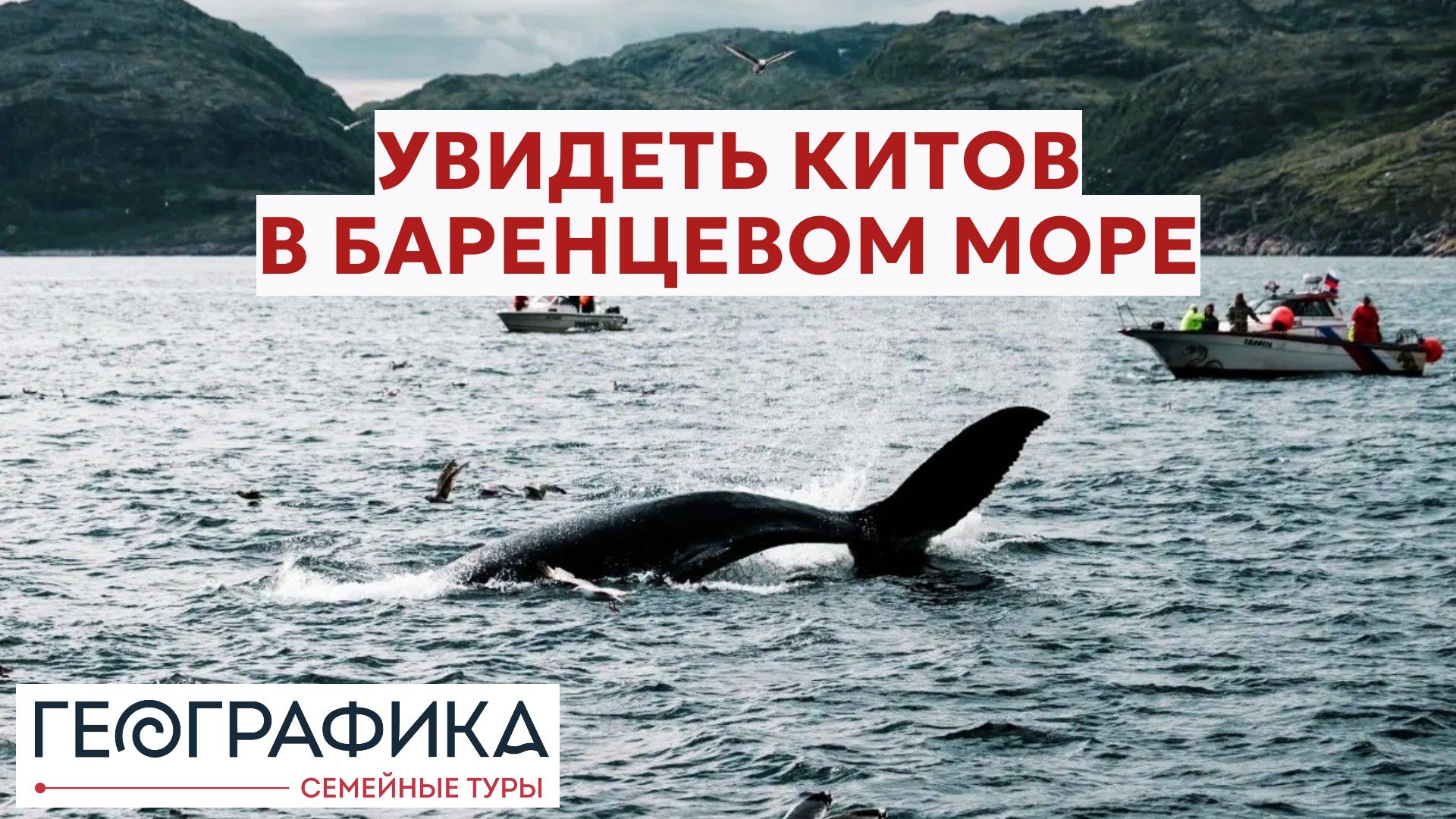 Географика. Семейные туры