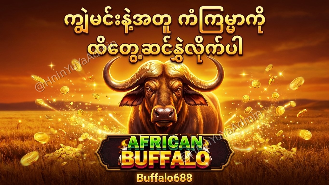 ကျွဲဂိမ်းအစစ် Buffalo688 ၊ကျွဲဘုရင် ၊​ရှမ်းကိုးမီး၊ဘူကြီး