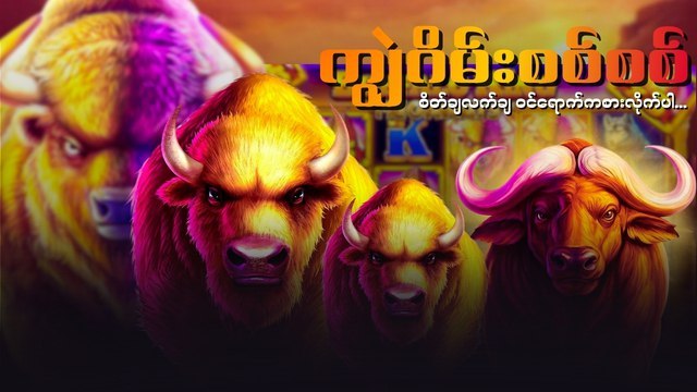 AFRICAN BUFFALO-MM