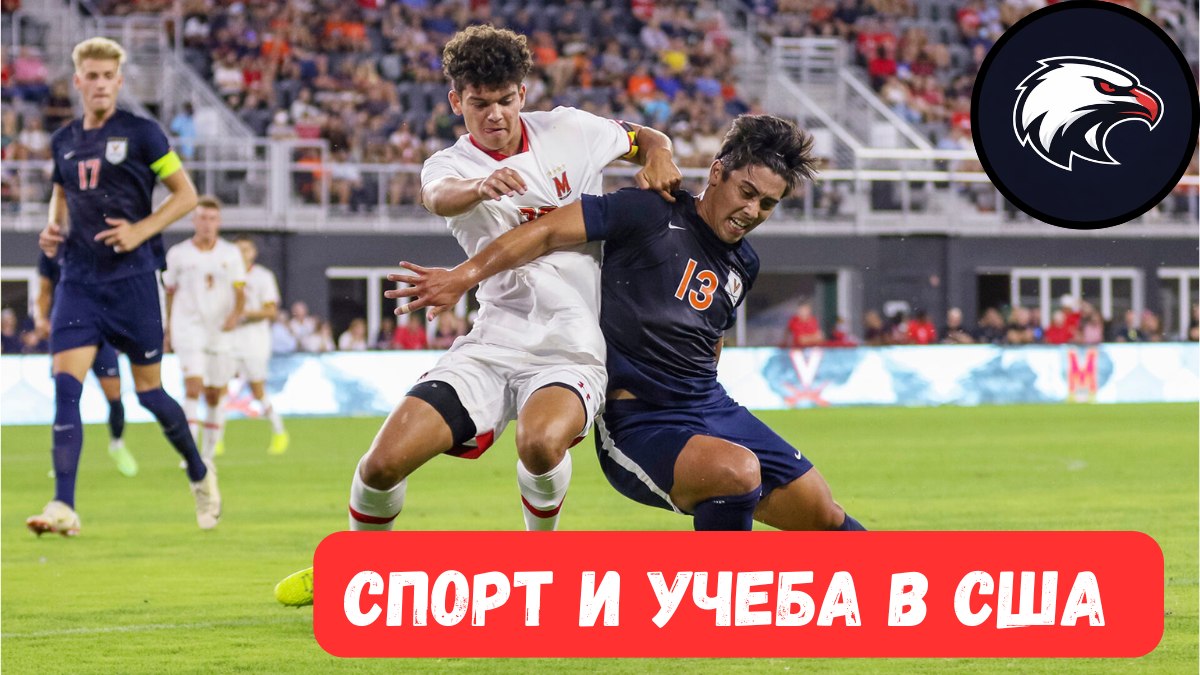 Спортивные стипендии в США | CollegeSportUSA