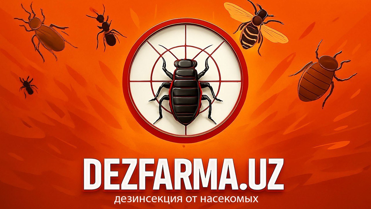 Служба дезинфекции
