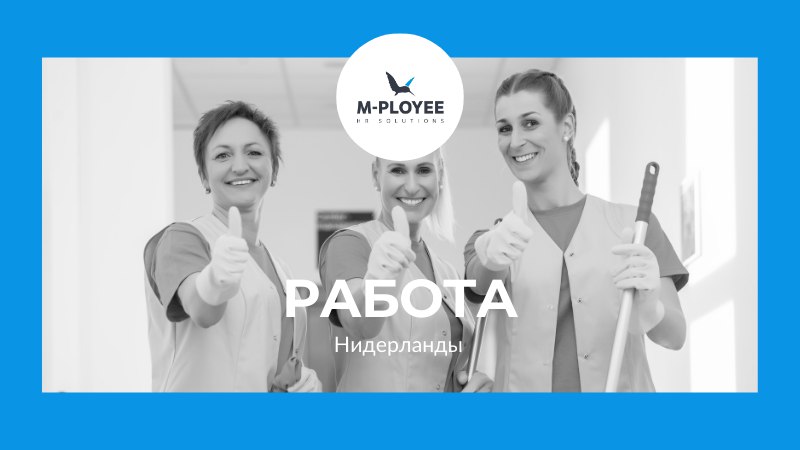 Робота в Нідерландах від M-Ployee 🇳🇱