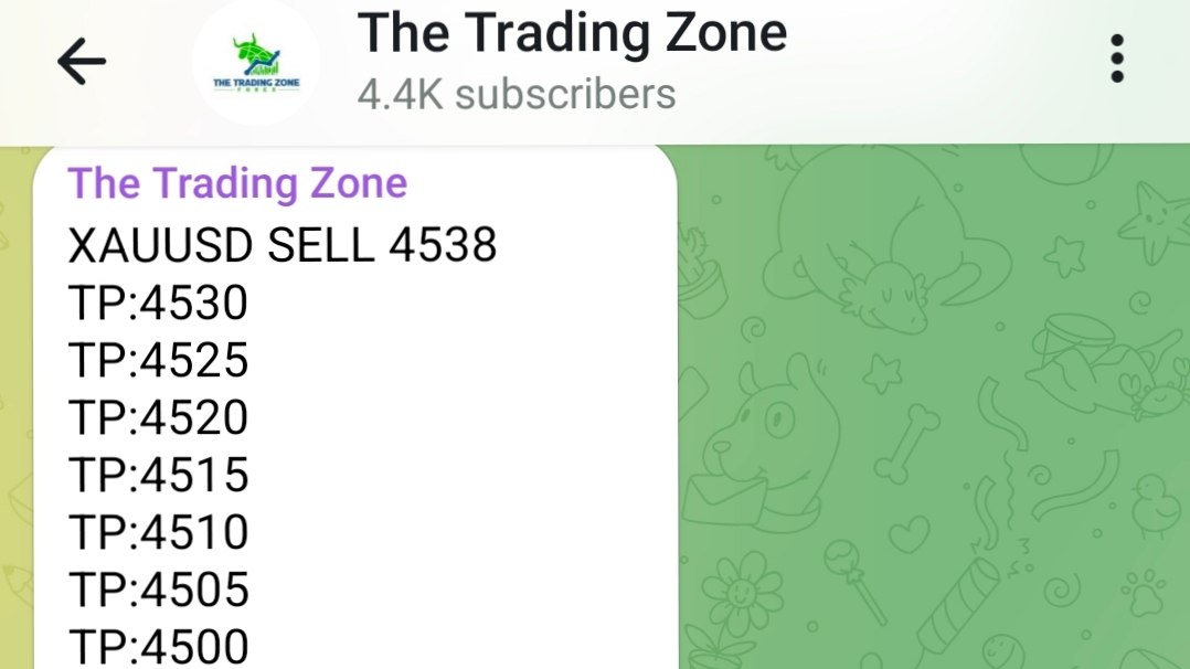 The Trading Zone