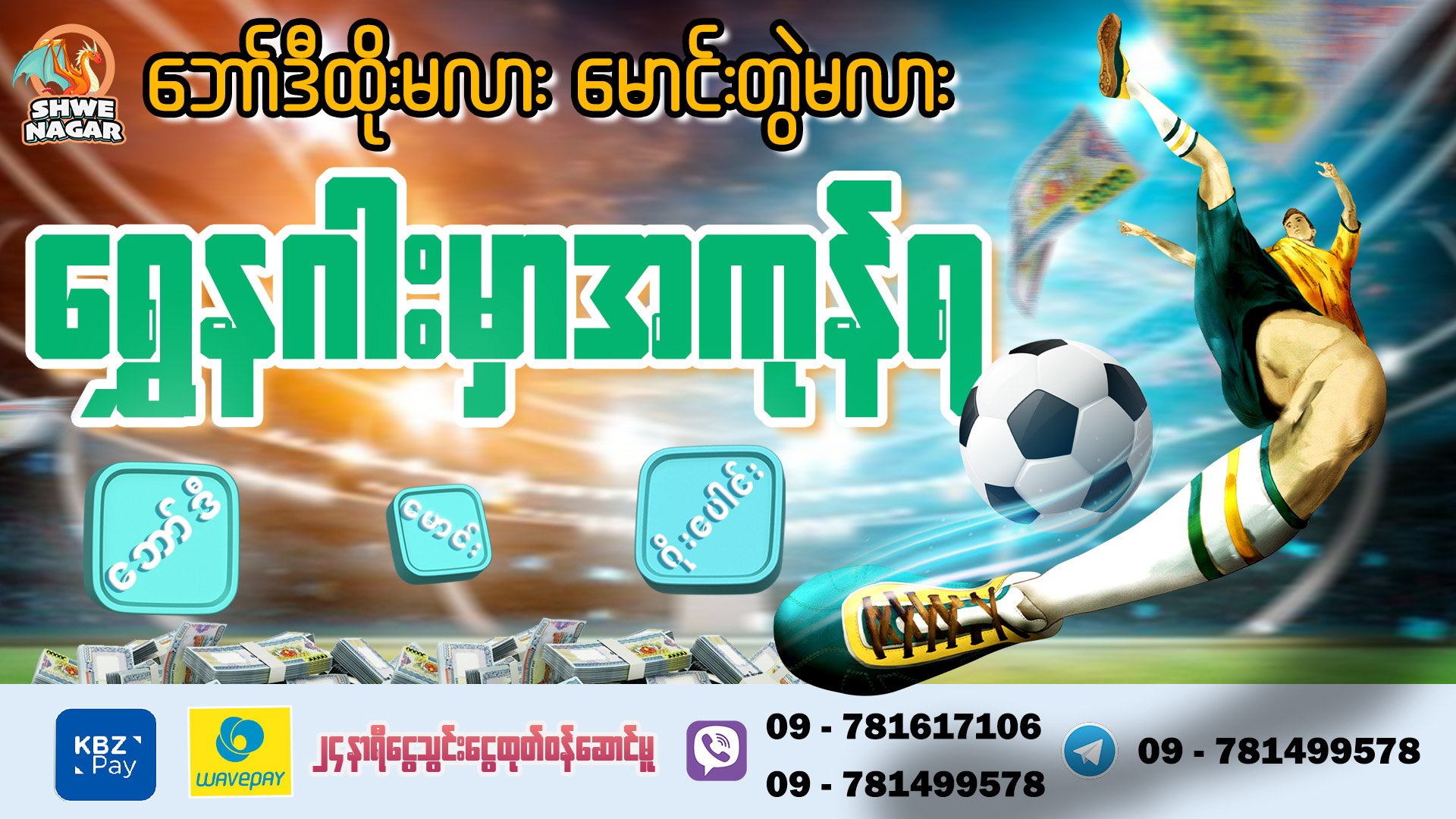 Shwenagar 2D 3D & Games