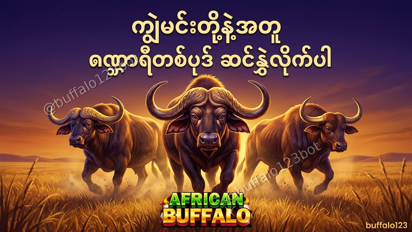 ကျွဲဂိမ်း Buffalo123 Official