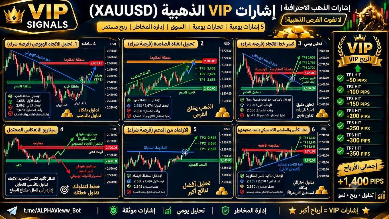 GOLD ACADEMY 📊