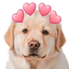 😍