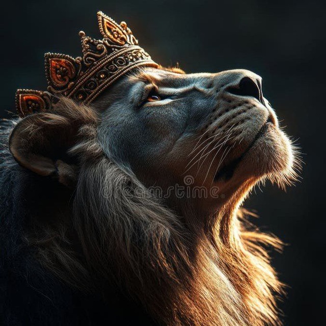 @lionmatkaking01