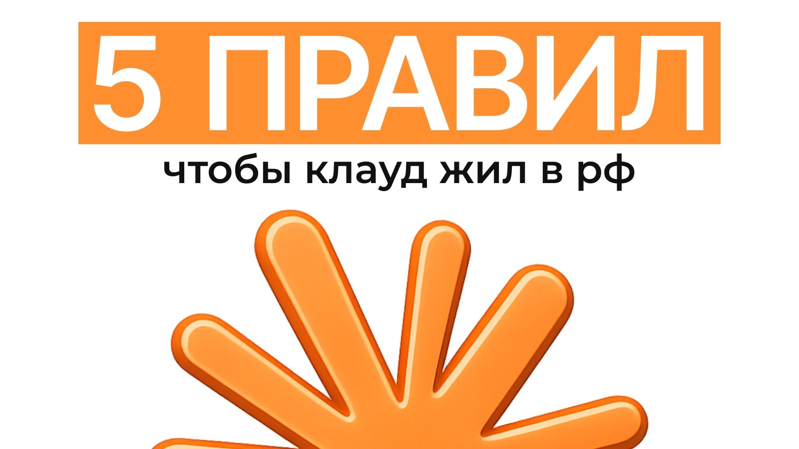 А.М. решает вопросы