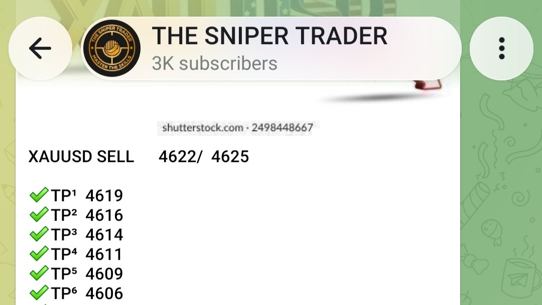 Gold Trading Team