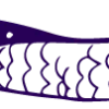 🐍