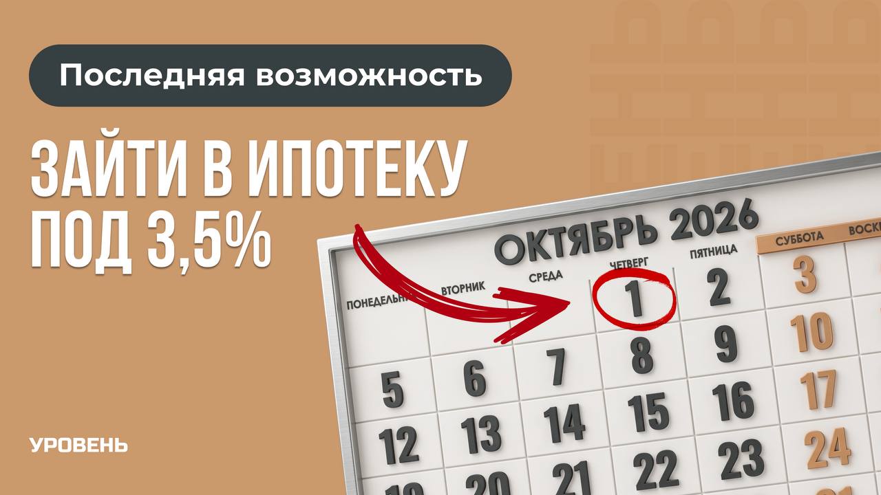Кирилл Закарлюк | Новостройки СПб | УРОВЕНЬ