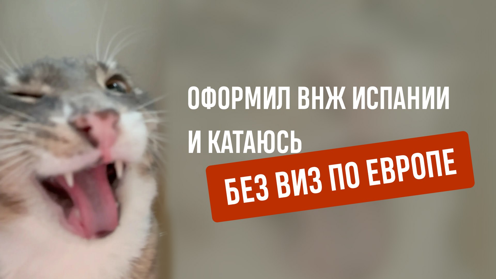 Испания 2026: гайд по релокации от Relospain