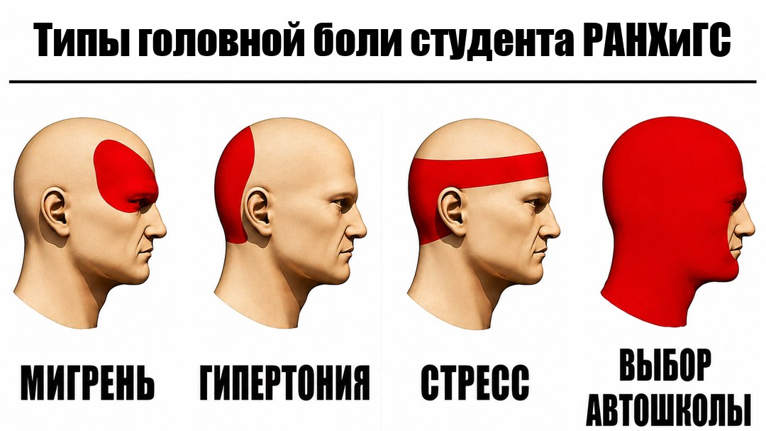 Автошкола для студентов Ранхигса