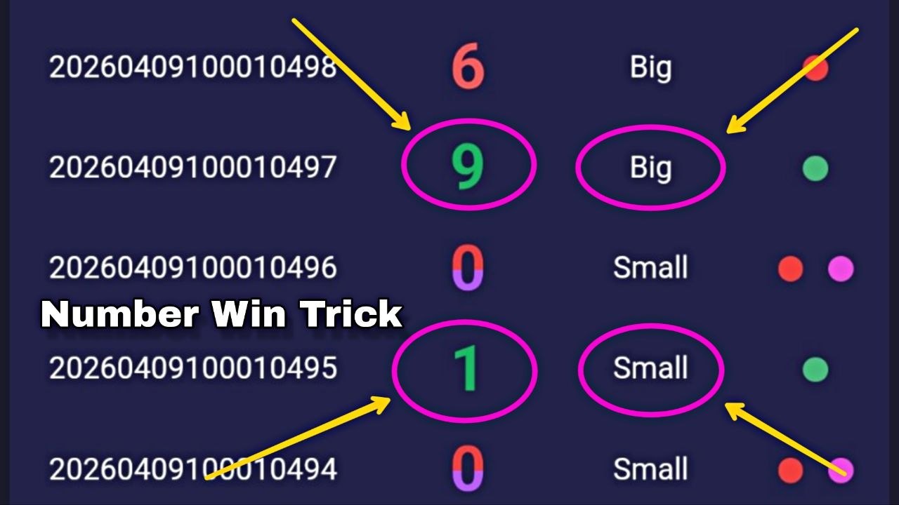 𝗔𝗺𝗮𝗿 𝗰𝗹𝘂𝗯 𝘃𝗶𝗽