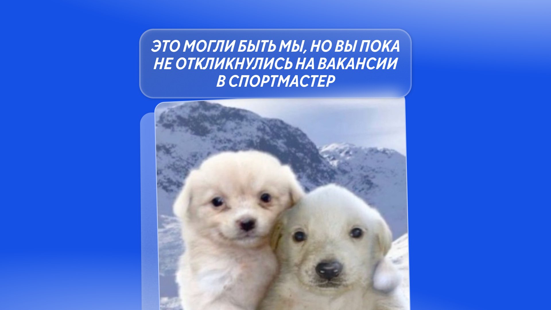Спортмастер Digital