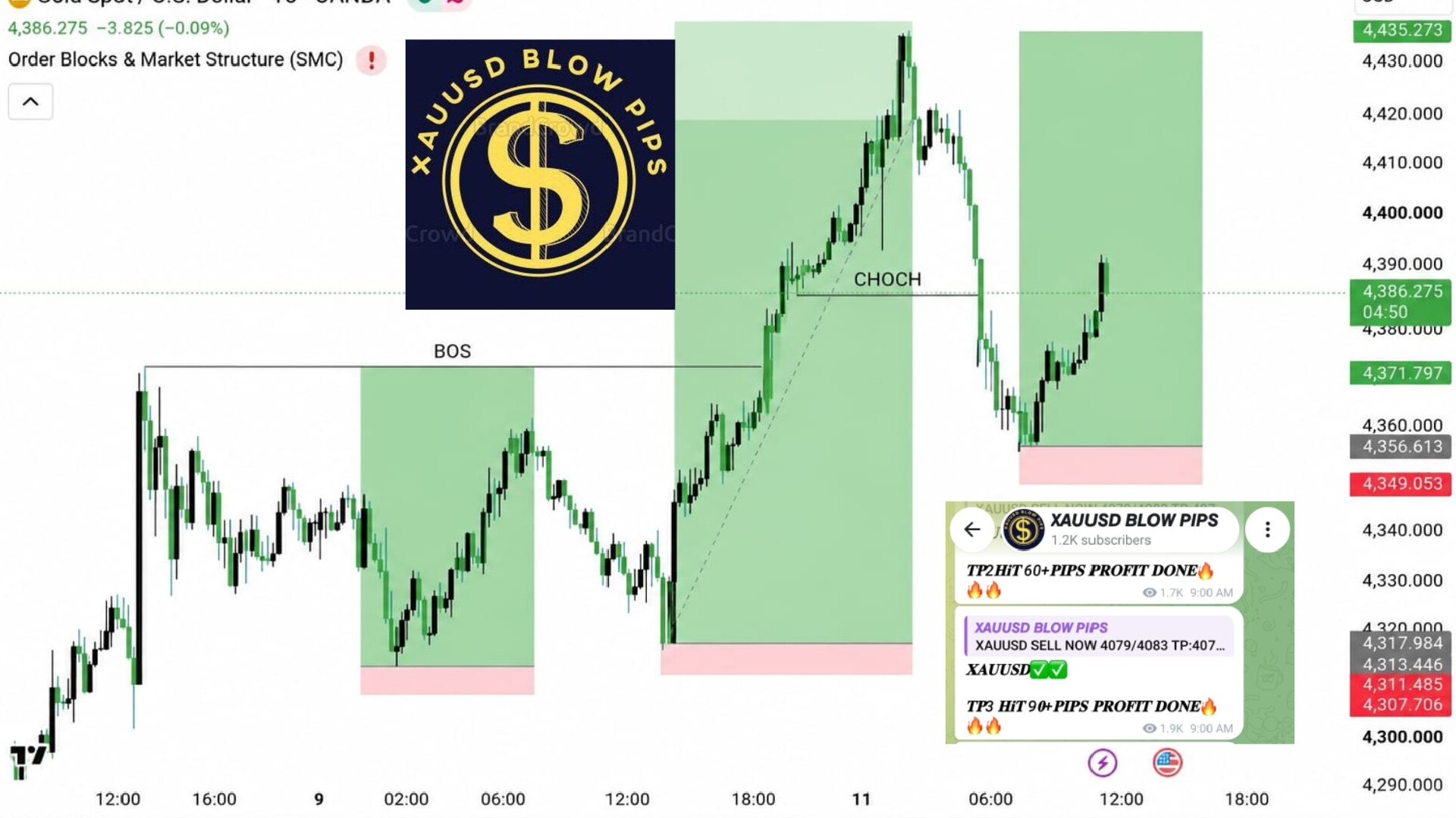 GOLD TRADER MO